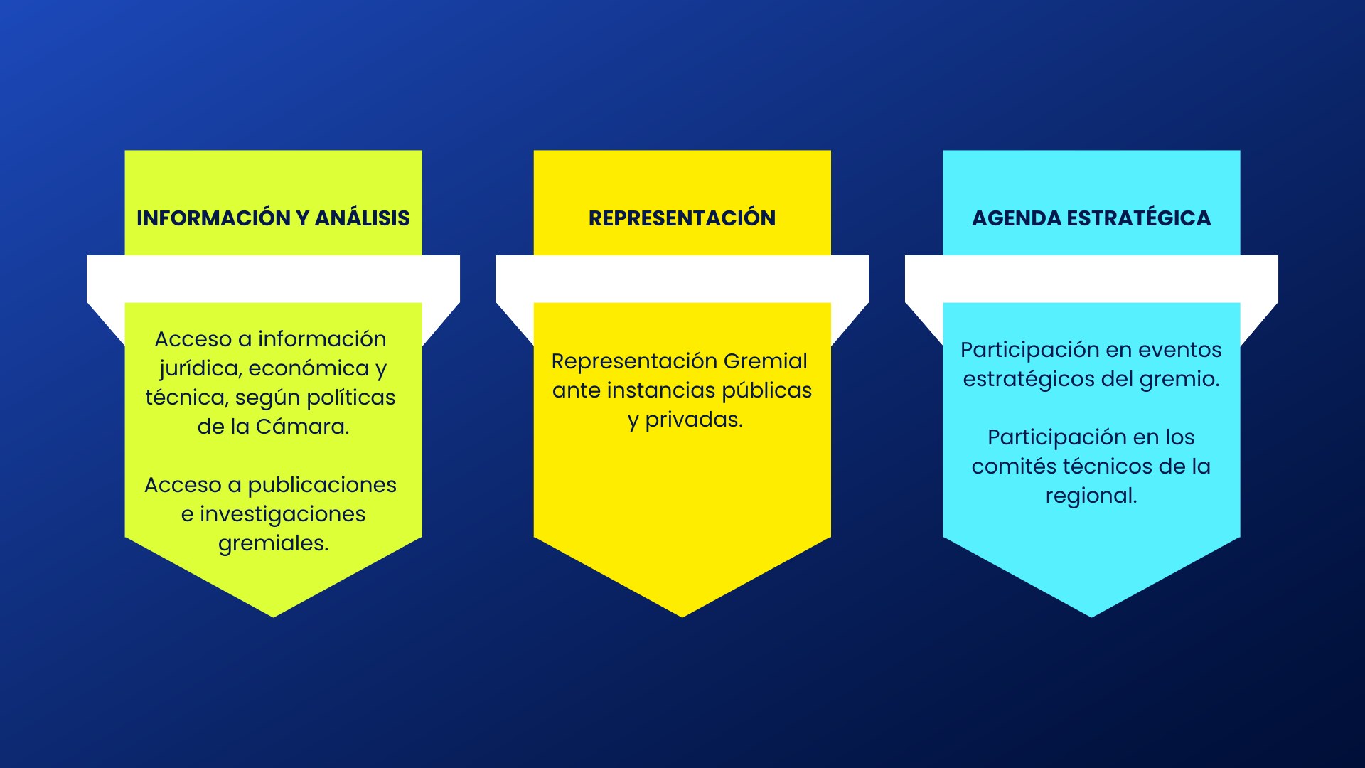 INFORMACIÓN Y ANÁLISIS